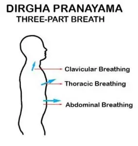 Pranayama, breathing, harmony, mindfulness, conscious
